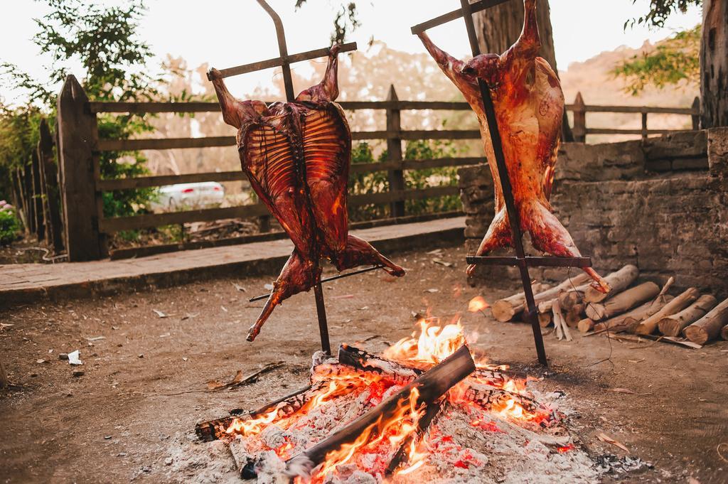 Hacienda Los Lingues Chile Valle De Colchagua Kültér fotó