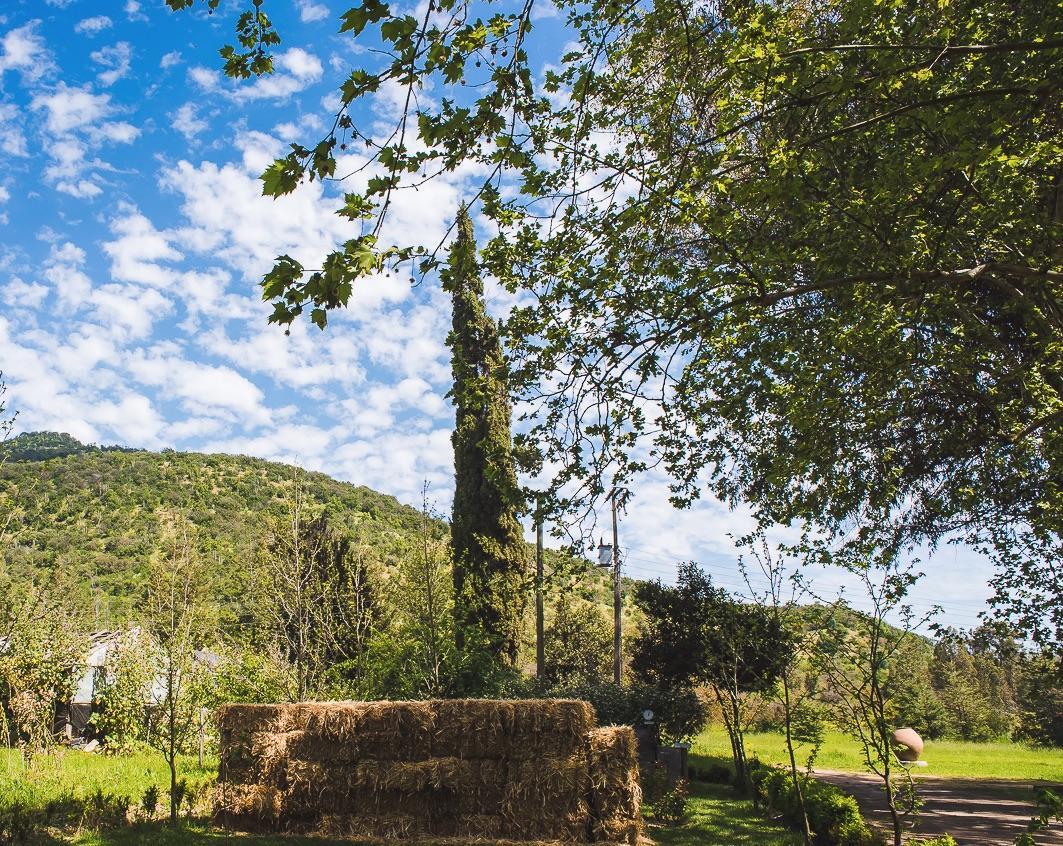 Hacienda Los Lingues Chile Valle De Colchagua Kültér fotó